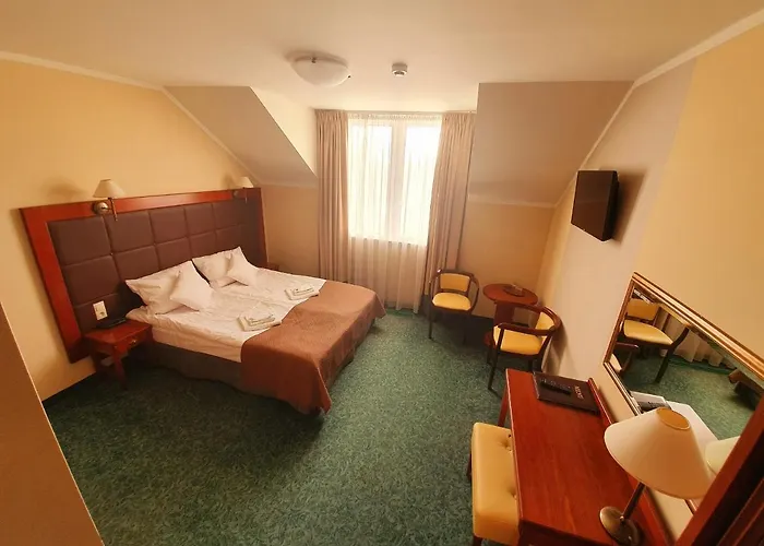 格但斯克戈尼基酒店 3*